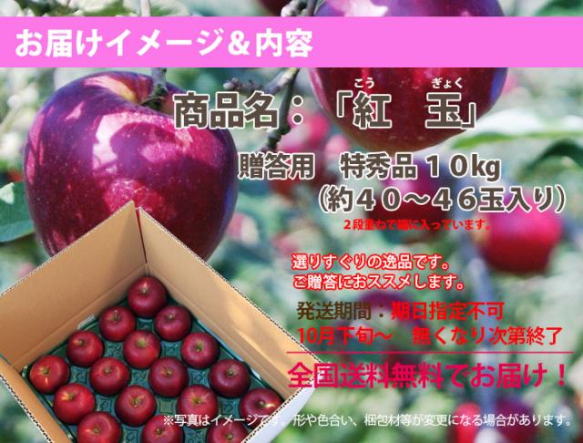 りんご紅玉　10kg