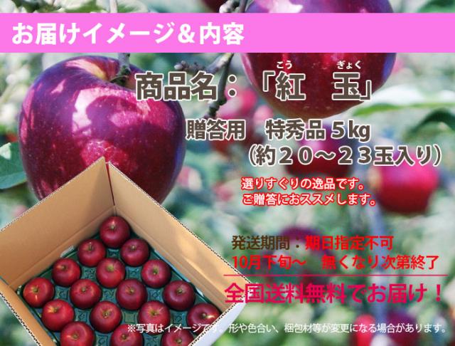 りんご紅玉　10kg