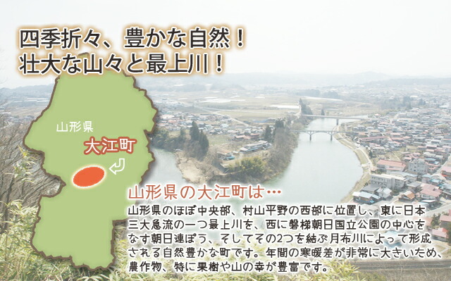 山ぶどう原液　山形県　大江町