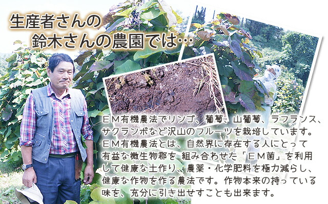 山ぶどう原液　山形県　大江町　EM農法