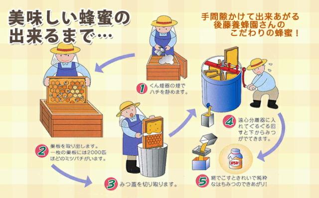 蜂蜜はちみつ 採取 養蜂