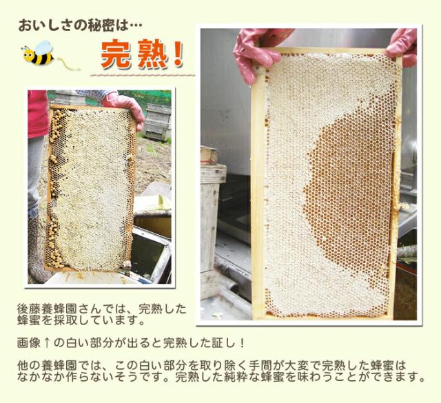 蜂蜜はちみつ 山形県産 完熟100%天然国産