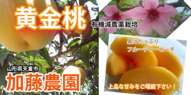 桃 黄金桃 マンゴーピーチ 山形産