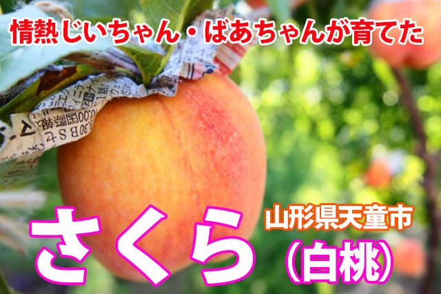 桃 西王母 山形産