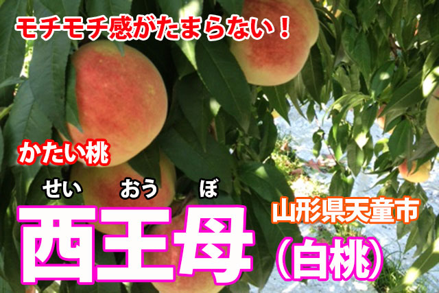 桃 西王母 山形産