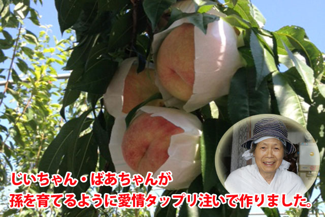 桃 西王母 山形産