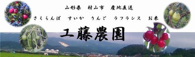 山形県産 ラフランス 佐藤錦 お取り寄せ 送料無料 フラワーギフト ネット通販花屋花樹有(かじゅある )