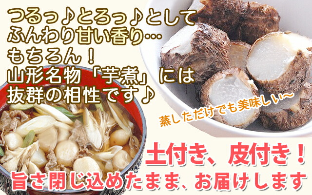 山形県産 とろとろ里芋 芋煮会 産直 お取り寄せ