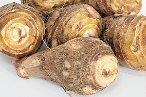 山形県産 とろとろ里芋 芋煮会 産直 お取り寄せ