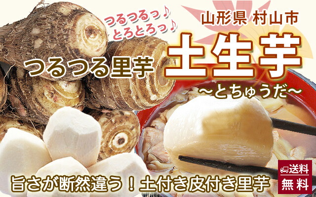 山形県産 とろとろ里芋 芋煮会 産直 お取り寄せ
