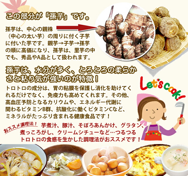 里芋 山形産 さといも サトイモ