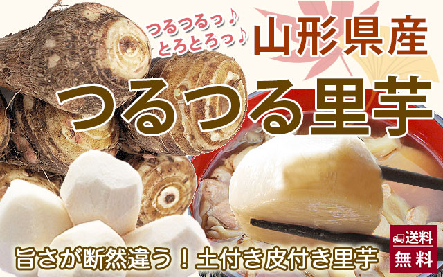 山形県産 とろとろ里芋 芋煮会 産直 お取り寄せ