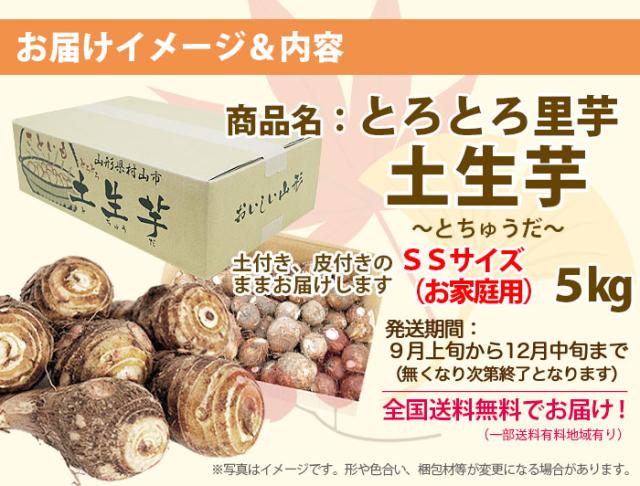 里芋 山形産 さといも サトイモ