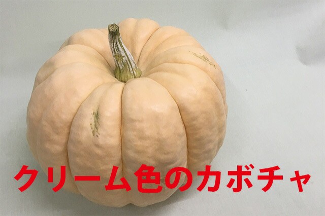 お買い求めしやすい価格 ハロウィン かぼちゃ カボチャ 生かぼちゃ ポーセリングドール 大 1個 飾り 巨大 置物 装飾 オブジェ パンプキン オーナメント 屋 新着商品 Centrodeladultomayor Com Uy