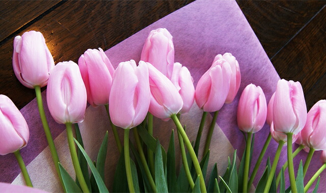 ホワイトデー チューリップ 花束 送料無料