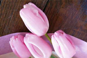 チューリップ 花束 ホワイトデー 送料無料