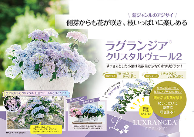 ラグランジア クリスタルベール