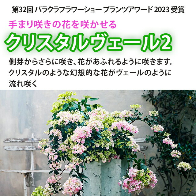 ラグランジア クリスタルベール