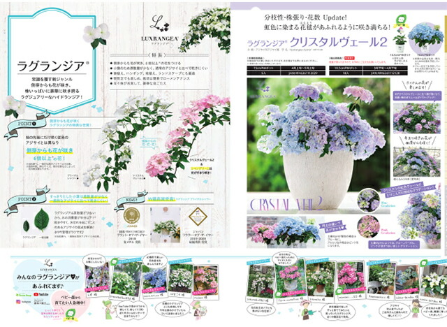 ラグランジア クリスタルベール