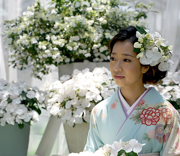 アジサイ　ブライダルシャワー