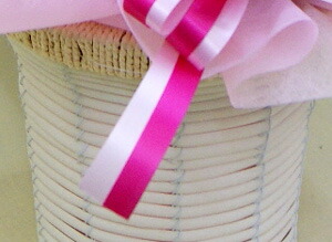 紫陽花アジサイ　あじさい　マジカルシリーズ　鉢植え　ネット通販花屋花樹有（かじゅある )