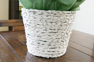 紫陽花アジサイ　鉢植え　鉢カバー