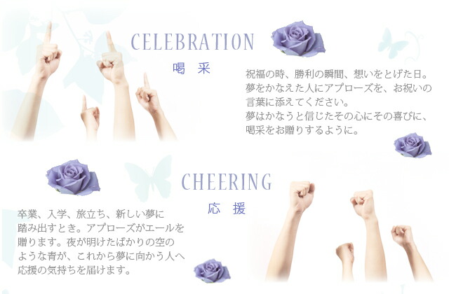 ブルーローズ　アプローズ