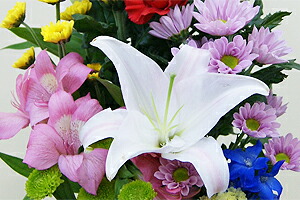 “お盆 お彼岸 お供え 送料無料 ネット通販花屋花樹有(かじゅある