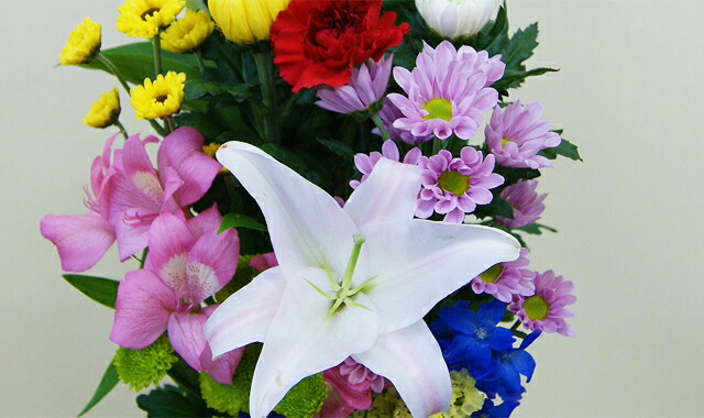 “お盆 お彼岸 お供え 送料無料 ネット通販花屋花樹有(かじゅある