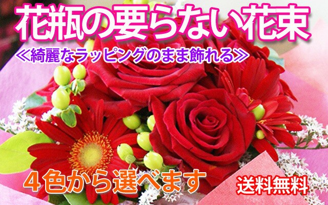 即日出荷 母の日 花 花束 ブーケ プレゼント 送料無料 花瓶の要らない花束 ４色から選べる 誕生日 花 鉢 花束 鉢花 フラワーアレンジメント 新色追加 Www Songtainews Net