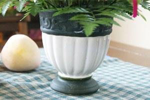 敬老の日フラワーギフト　トルコキキョウアレンジメント