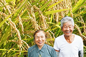 山形県産米 はえぬき 産直 お取り寄せ 送料無料 フラワーギフト ネット通販花屋花樹有(かじゅある )