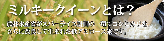 山形産米 ミルキークイーンとは