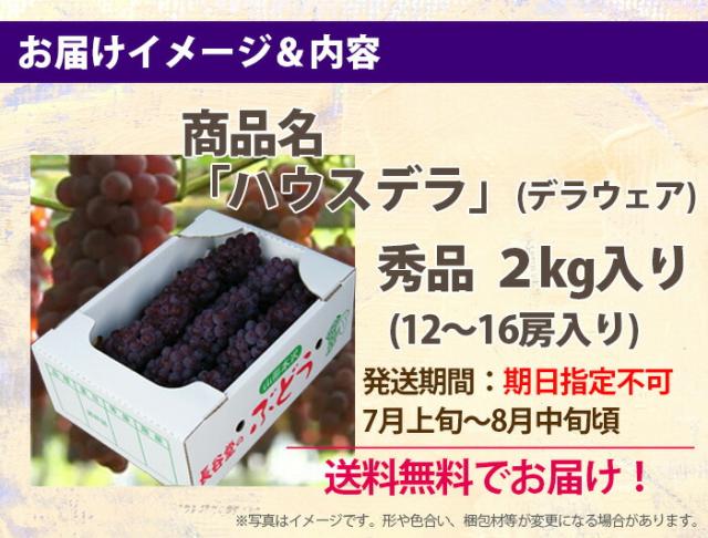 デラウェア お届け内容