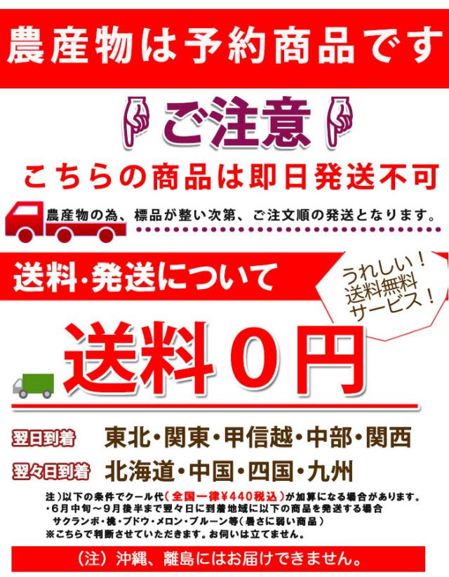 年中無休 送料無料