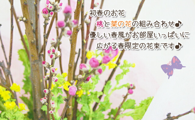 桃の花 菜の花 花束