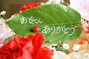母の日　カーネーション花束　フラワーギフト　送料無料　ネット通販花屋花樹有（かじゅある )
