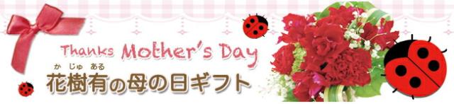 母の日　フラワーギフト　送料無料　フラワーギフトネット通販花屋花樹有（かじゅある )