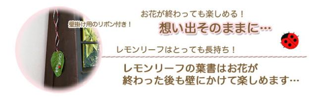 母の日　カーネーション花束　フラワーギフト　送料無料　ネット通販花屋花樹有（かじゅある )　