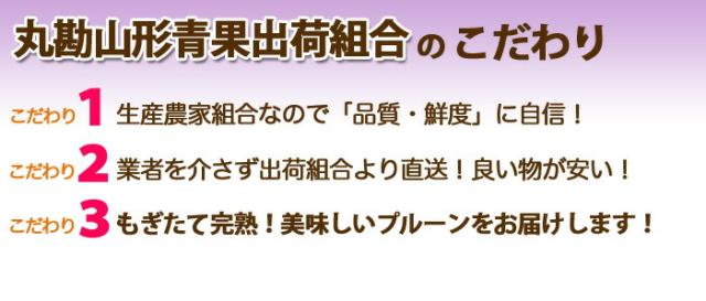 丸勘山形青果出荷組合 青果市場丸勘山形青果出荷組合 青果市場