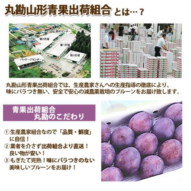 丸勘山形青果出荷組合 青果市場丸勘山形青果出荷組合 青果市場