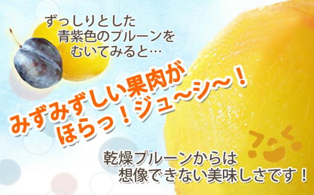 山形県産 大玉 生プルーン プレジデント 産直 お取り寄せ フルーツ 送料無料