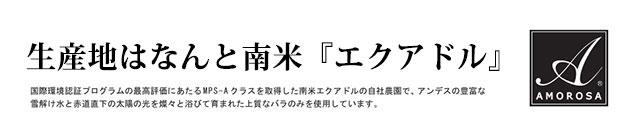 レインボーローズ　プリザーブドフラワー　産地