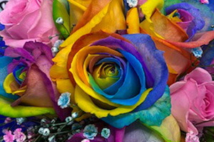 レインボーローズ　薔薇　花束　花瓶のいらない花束