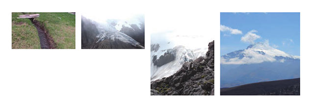 レインボーローズ　プリザーブドフラワー　エクアドルの自然