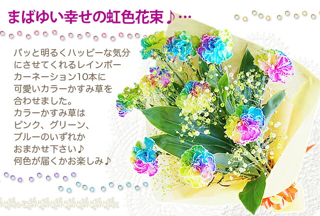 レインボーカーネーション　カラーかすみ草