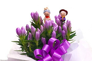 リンドウの鉢植え