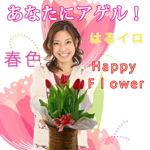 チューリップ　鉢植え　通販
