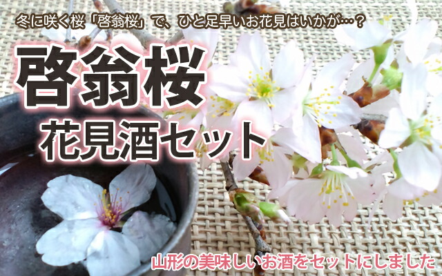 

啓翁桜　日本酒　花見酒セット