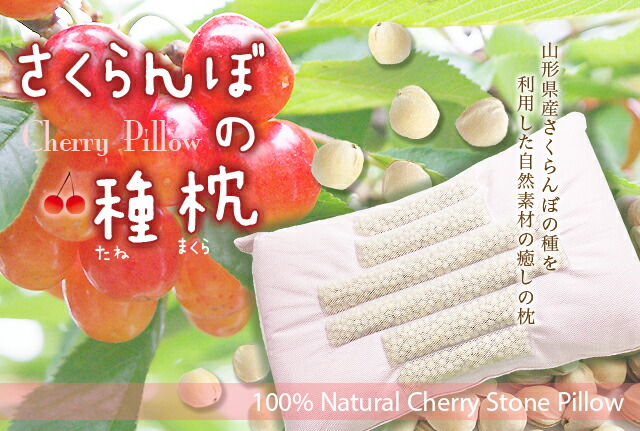 さくらんぼ　種枕　山形県産